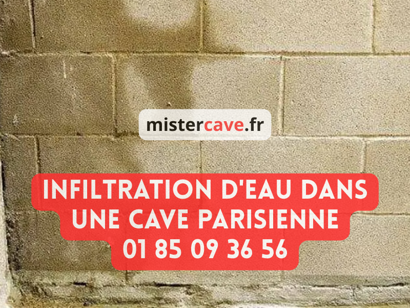 Infiltration d'eau dans une cave parisienne : traces d'humidité et coulures sur un mur enterré en pierre avec efflorescences blanches de salpêtre