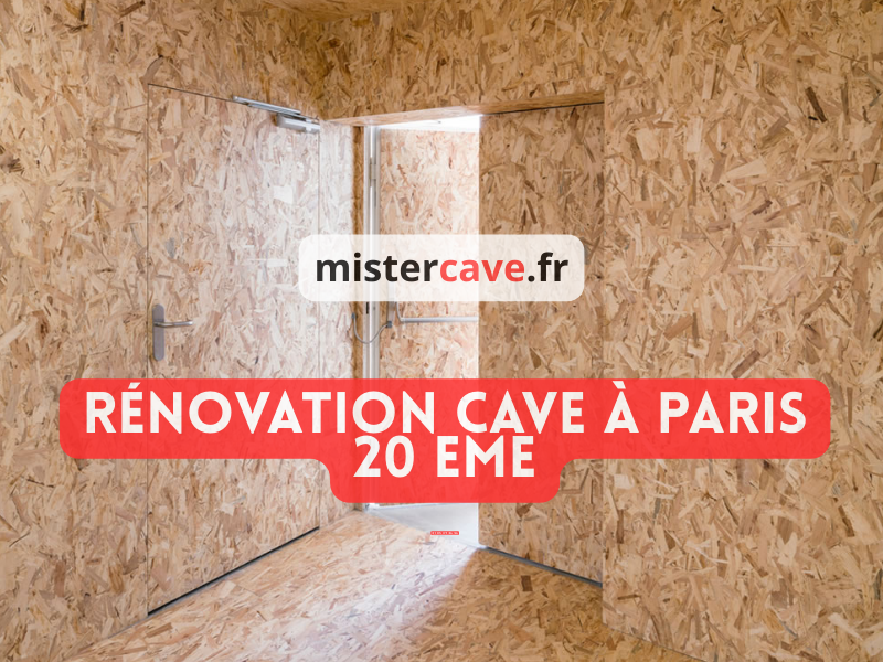Rénovation de cave Paris 20e : technicien MisterCave réalisant un traitement anti-humidité dans la cave d'un immeuble ancien de Belleville, avec équipement professionnel d'injection de résine contre les remontées capillaires typiques des constructions ouvrières du XIXe siècle